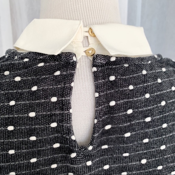 Ann Taylor Twofer Collared Petite SZ Small Sweater Black Cream - Picture 4 of 8